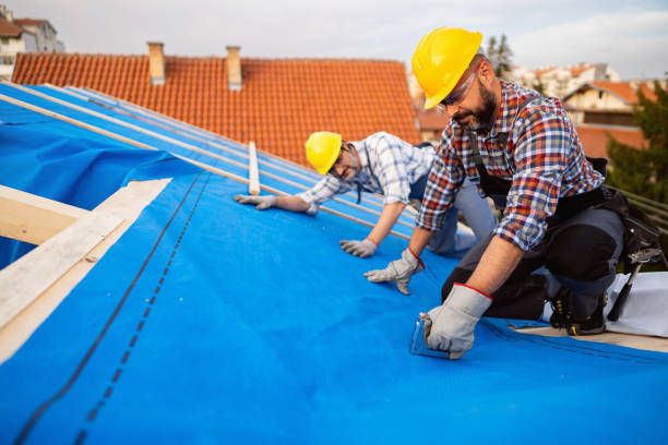 Best New Roof Installation  in Warminster Heights, PA