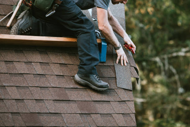 Best Shingle Roofing Installation  in Warminster Heights, PA